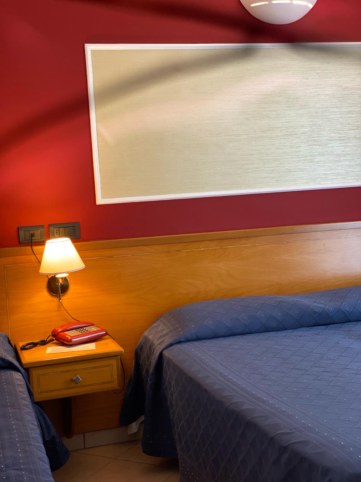 Lion's Hotel - foto 3