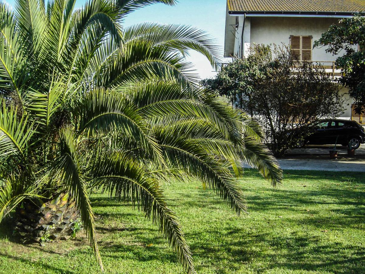 Il Boschetto B&B - foto 1