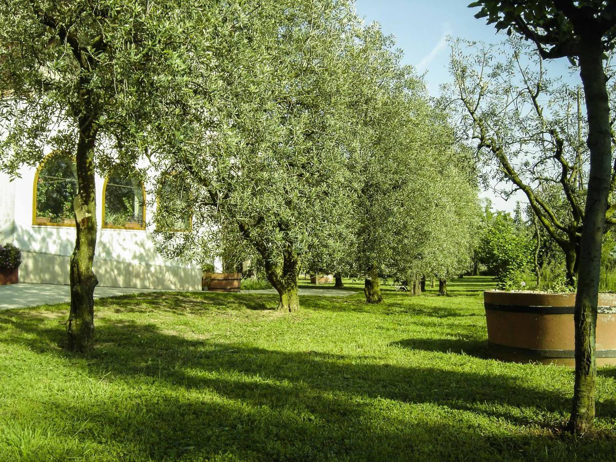 Il Boschetto B&B - foto 2