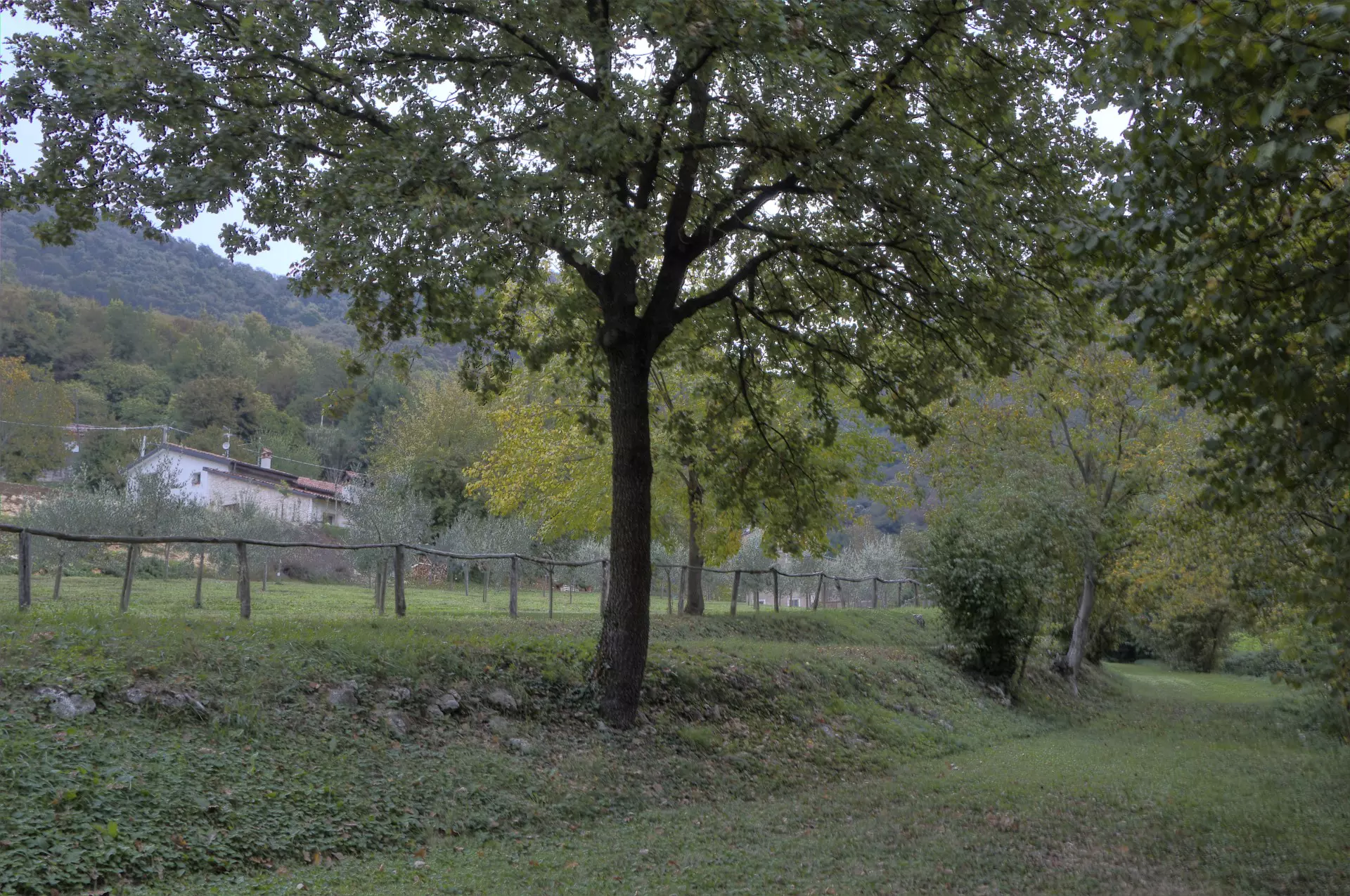 B&B “La Corte dei Gelsi” foto 5