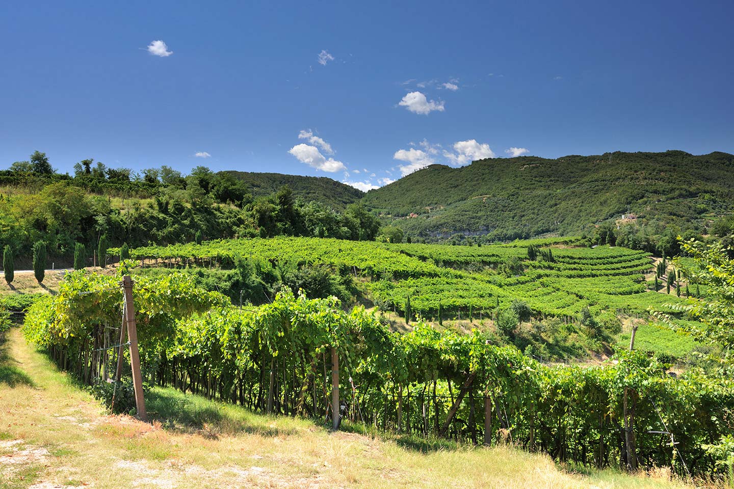 Bed & Breakfast Da Berno - foto 3