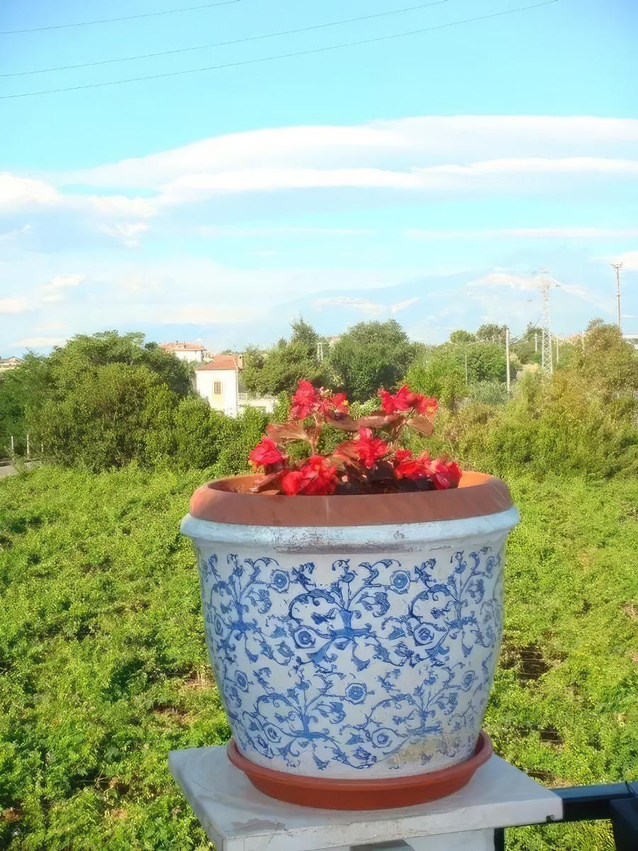 B&B Costa d'Abruzzo foto 1