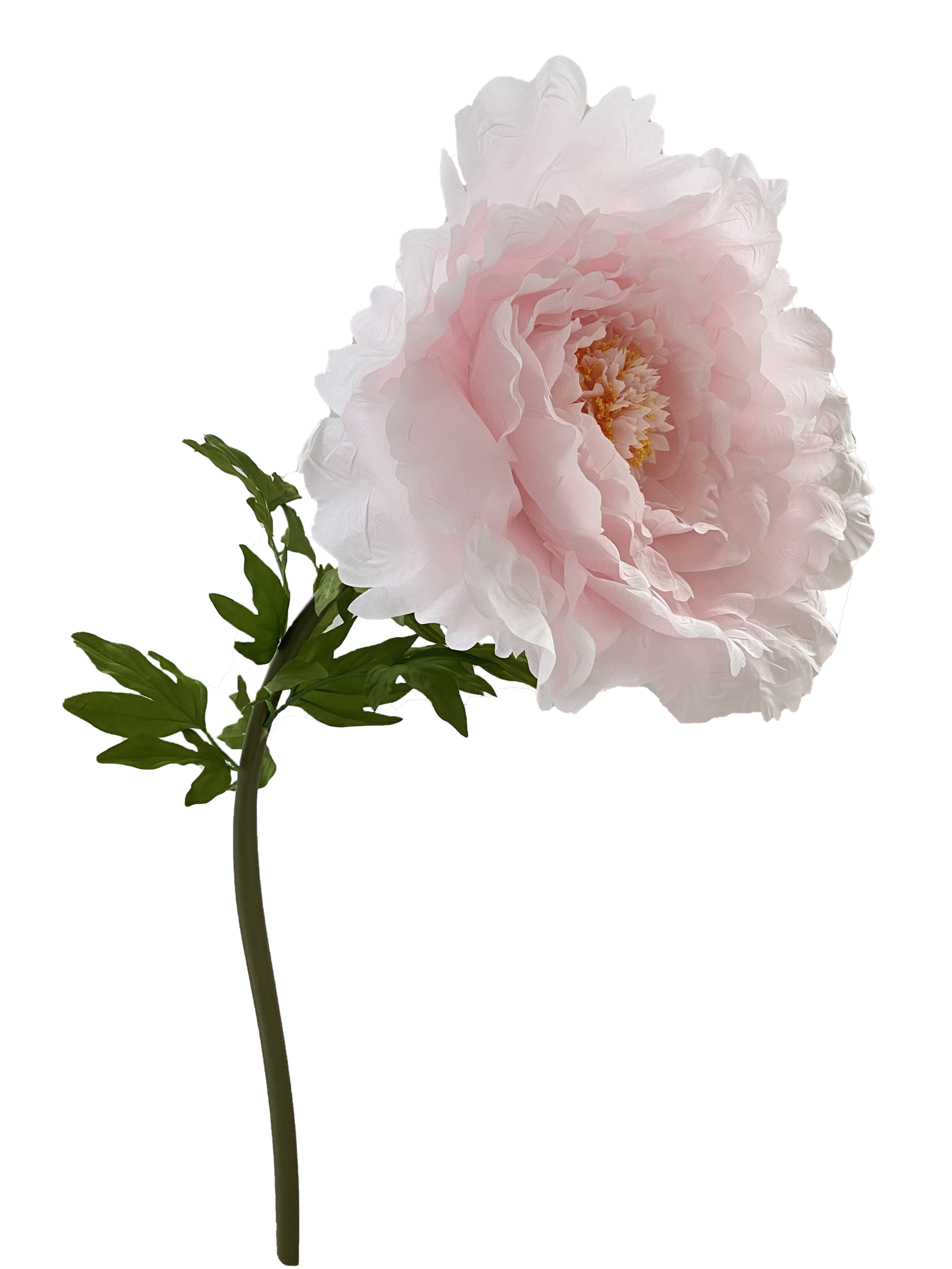 Charme Flower Rooms - foto 4