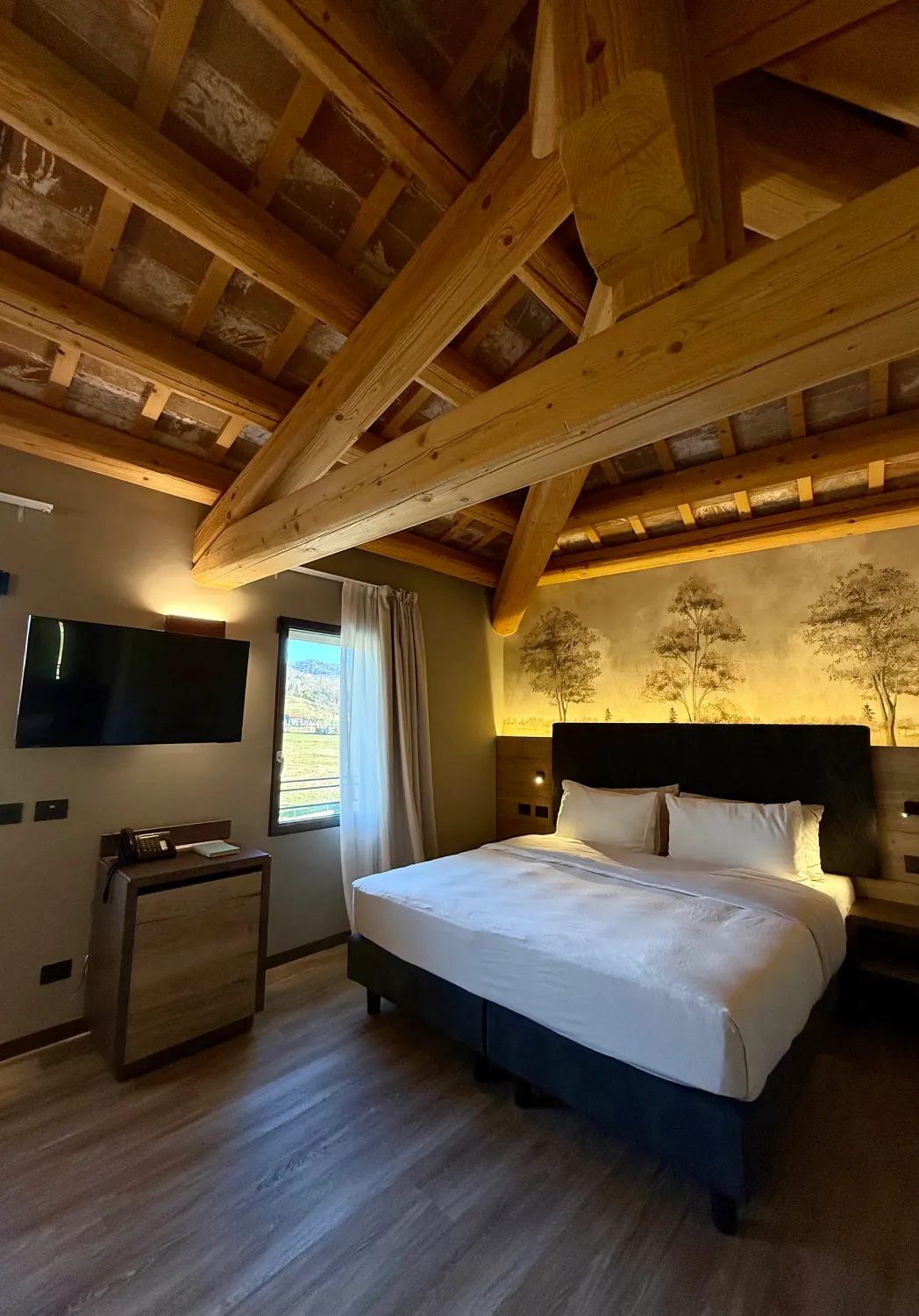 IDA Boutique Hotel foto 1