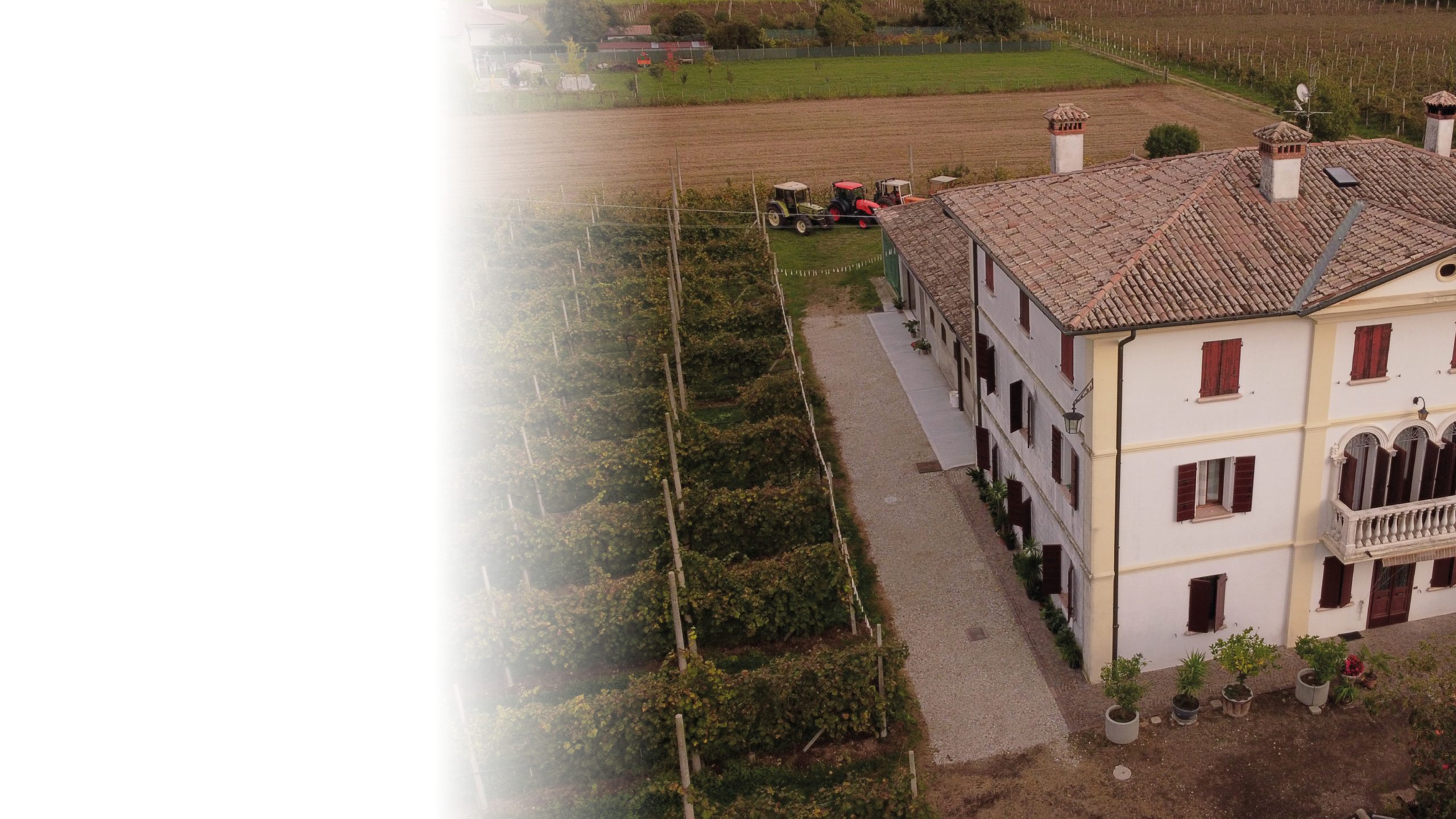 Fattoria Didattica Le Rondini - foto 4