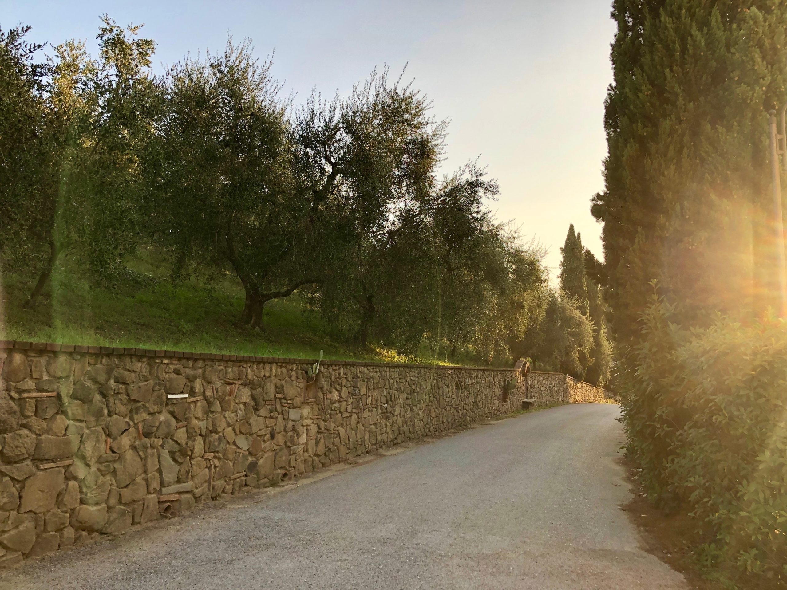 Agriturismo Il Piastrino - foto 4