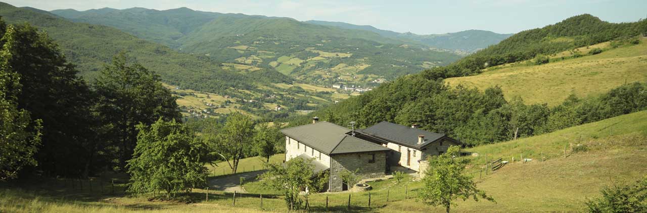 Agriturismo Le Querciole foto 4