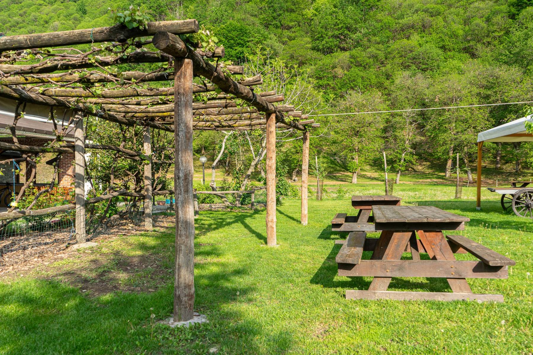 Agriturismo Cascina Veja - foto 2