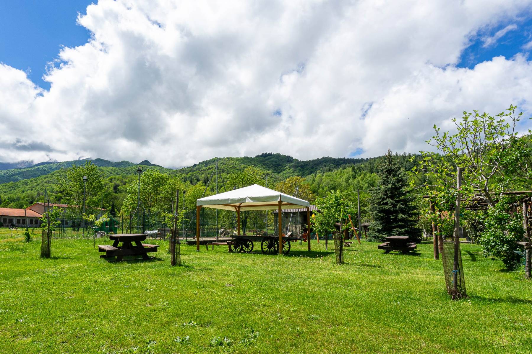 Agriturismo Cascina Veja - foto 5