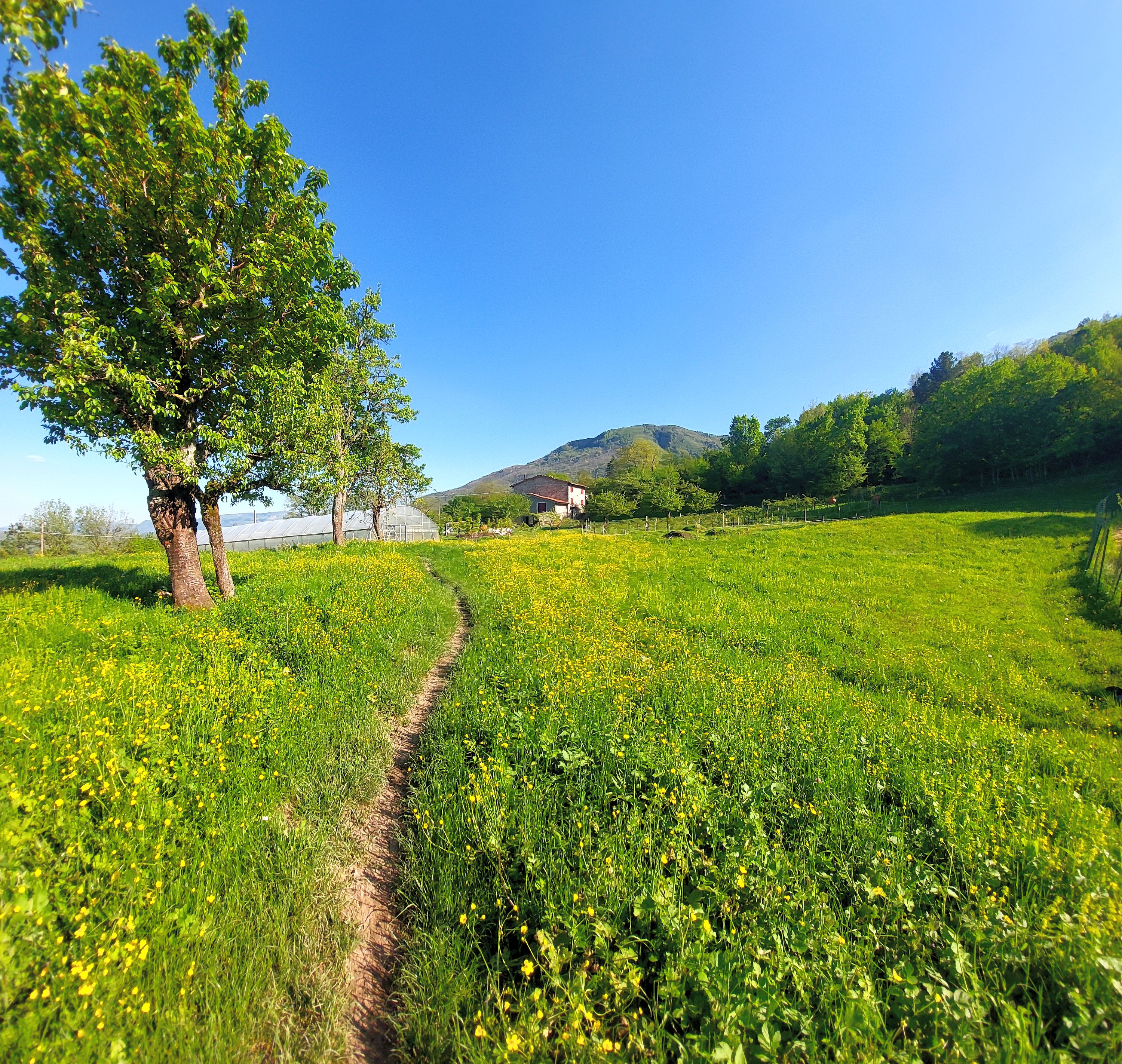 Cà Gennara Agri B&B foto 1