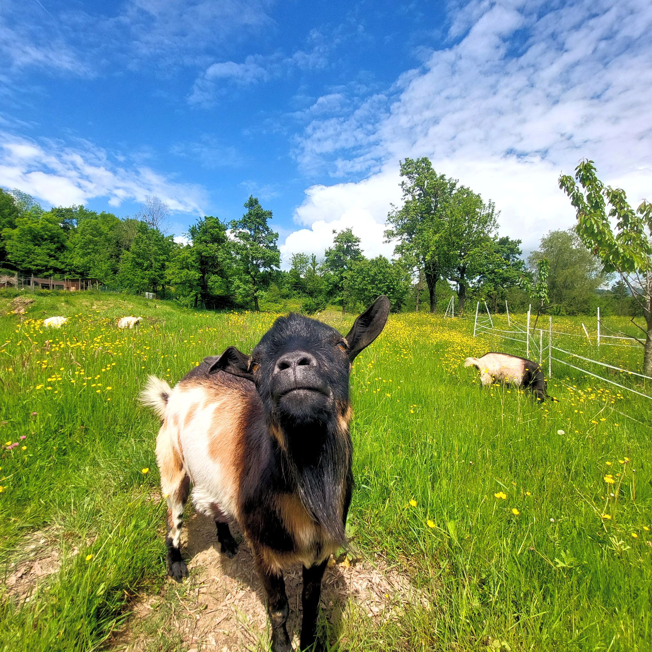 Cà Gennara Agri B&B foto 4