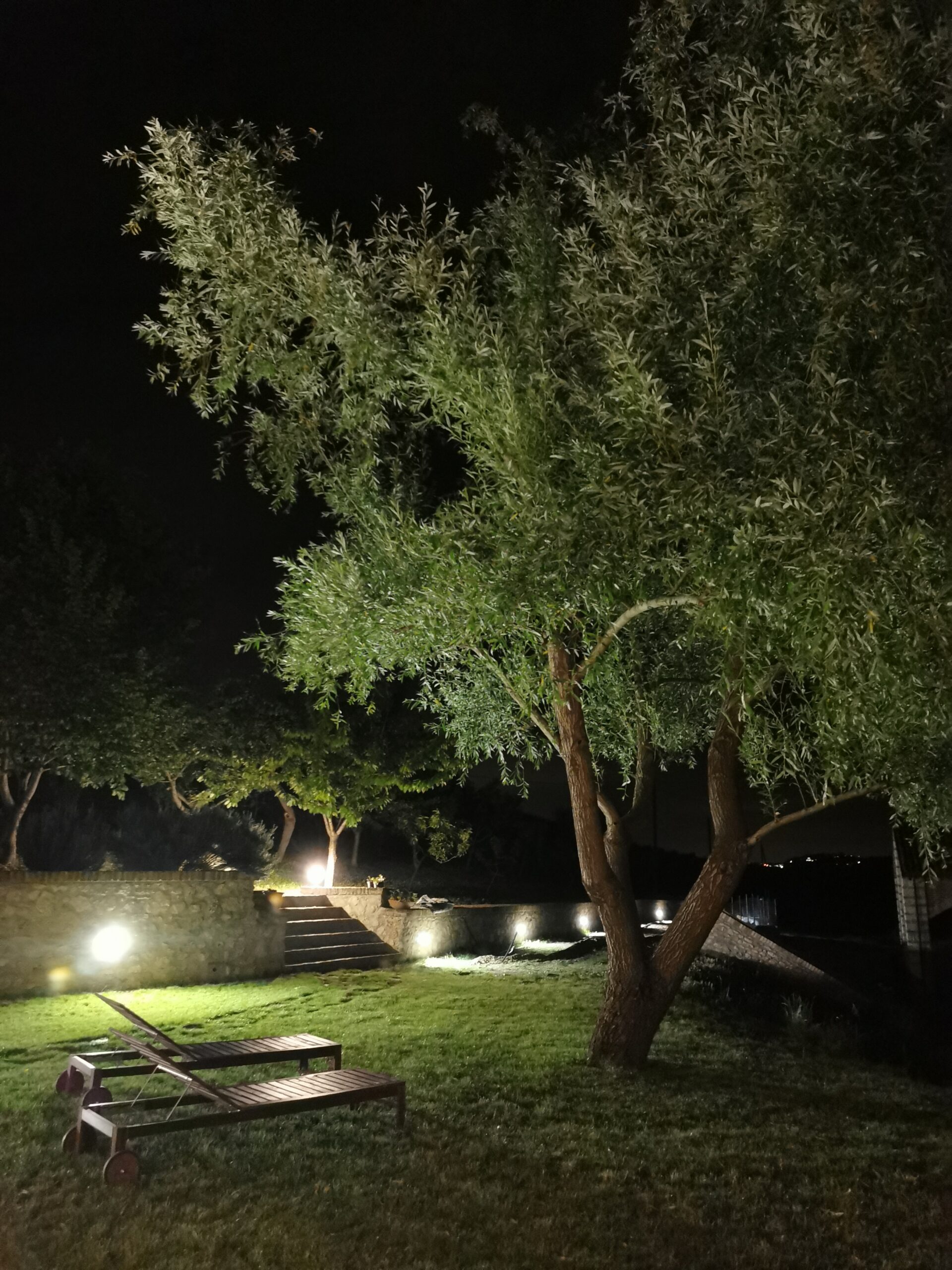 Agriturismo Airale - foto 6