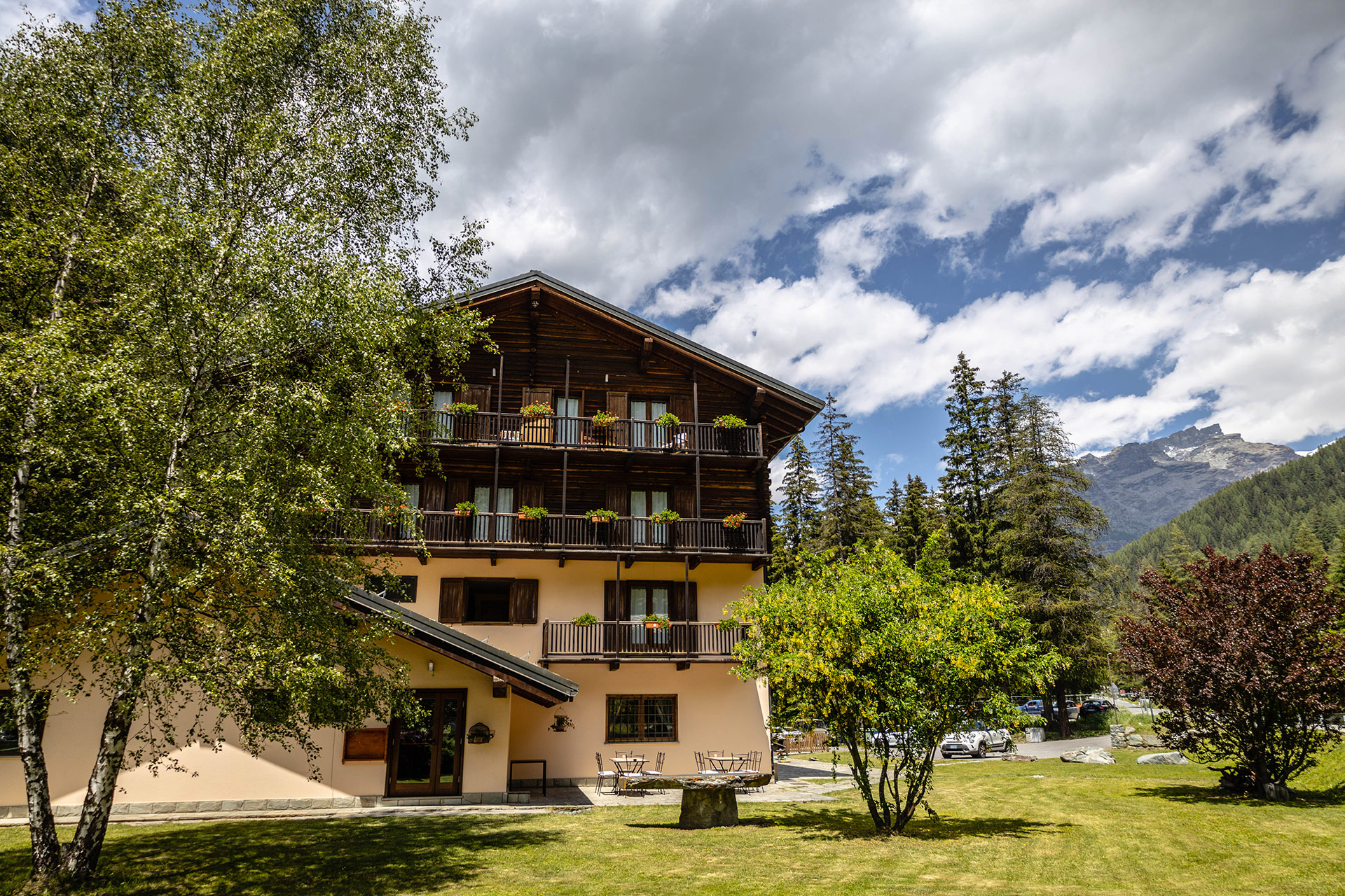 Alpine Forest Hotel - foto 1