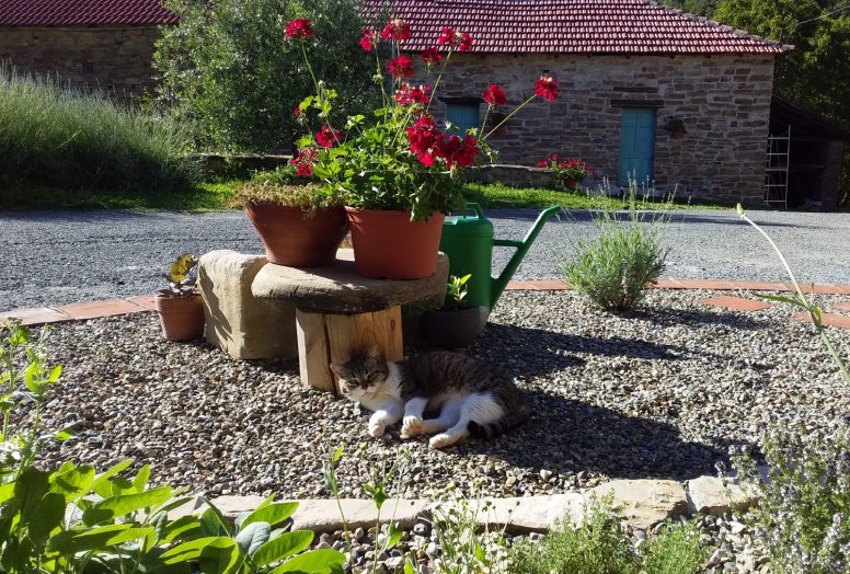 Agriturismo borghetto la radice - foto 3