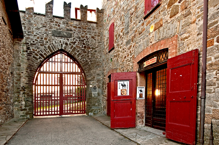 Castello Manservisi - foto 5
