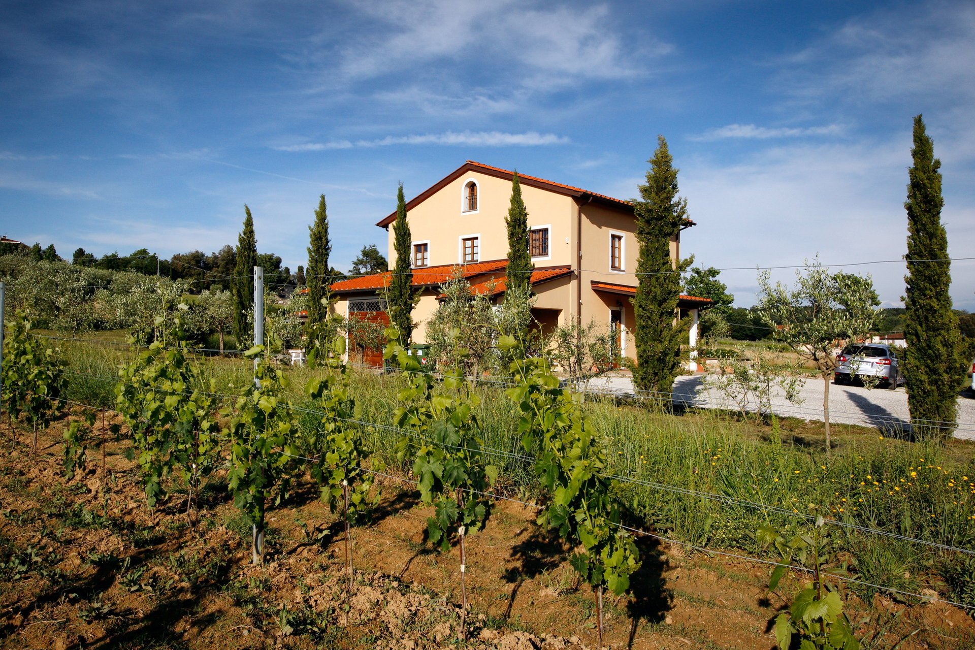 Agriturismo Agricampeggio Ai Linchi - foto 5