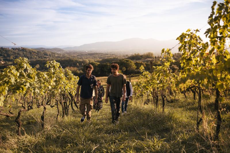 Agriturismo Fattoria Maionchi - foto 6