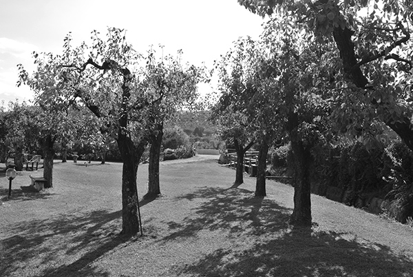 Agriturismo "Casale Le Fornaci" - foto 6