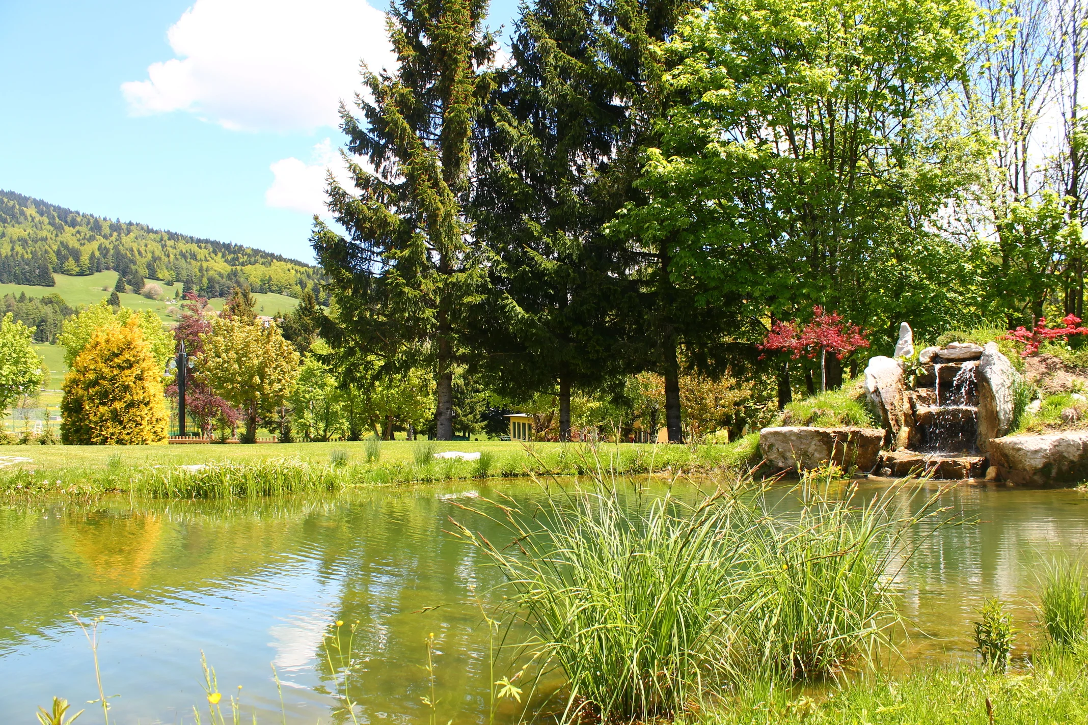 Alpen Hotel Eghel Resort & SPA - foto 4