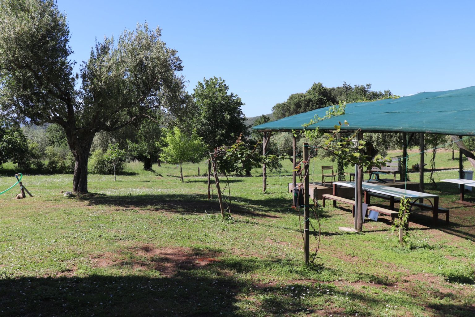 Villaggio Al Posto Giusto | Nature Retreat, Camping & Camper Area in Pietramelara, Campania - foto 2