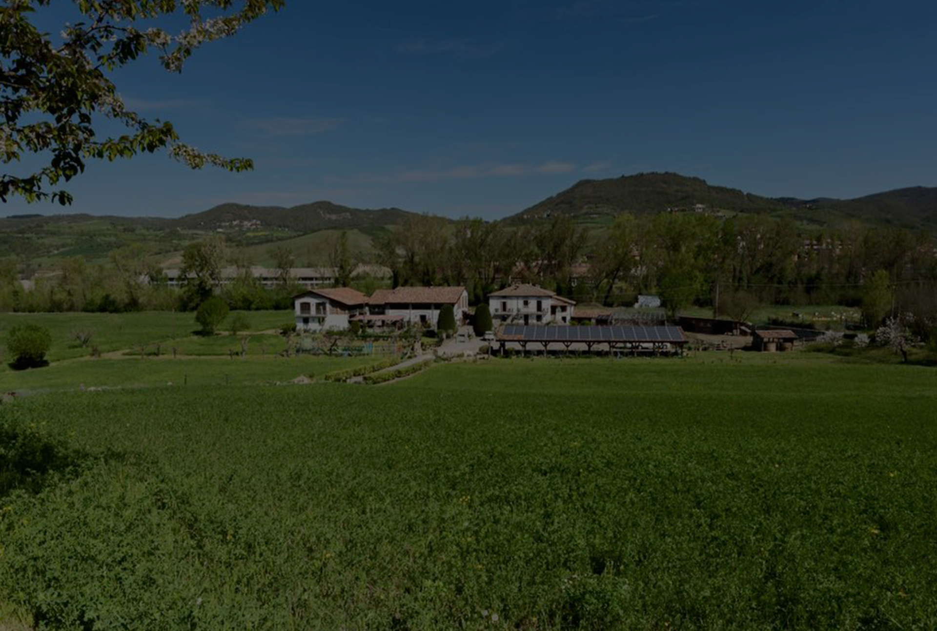 Agriturismo La Sorgente B&B VARZI - foto 1