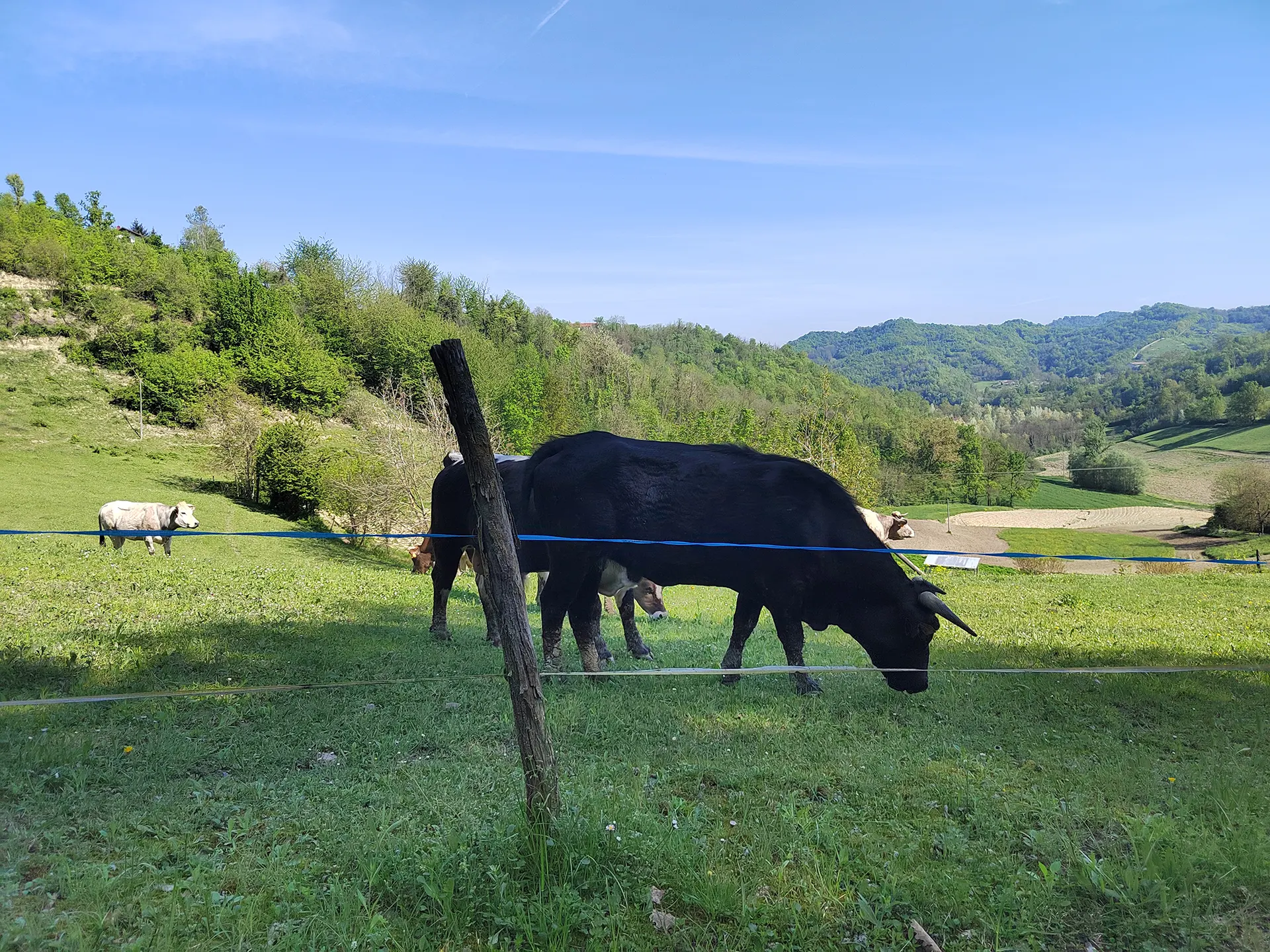Agriturismo Bella Ciao - foto 5