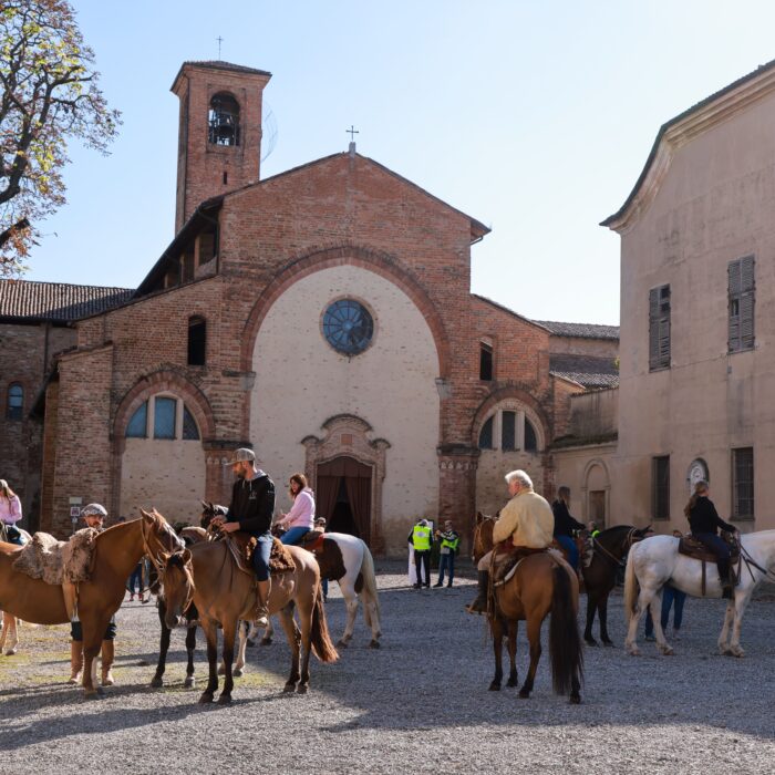 Azienda Agricola Scrivia/Cairo Horses/ Agriturismo Settimocielo - foto 4