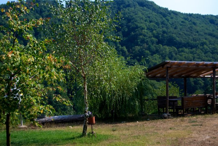 Agriturismo La Sereta - foto 3