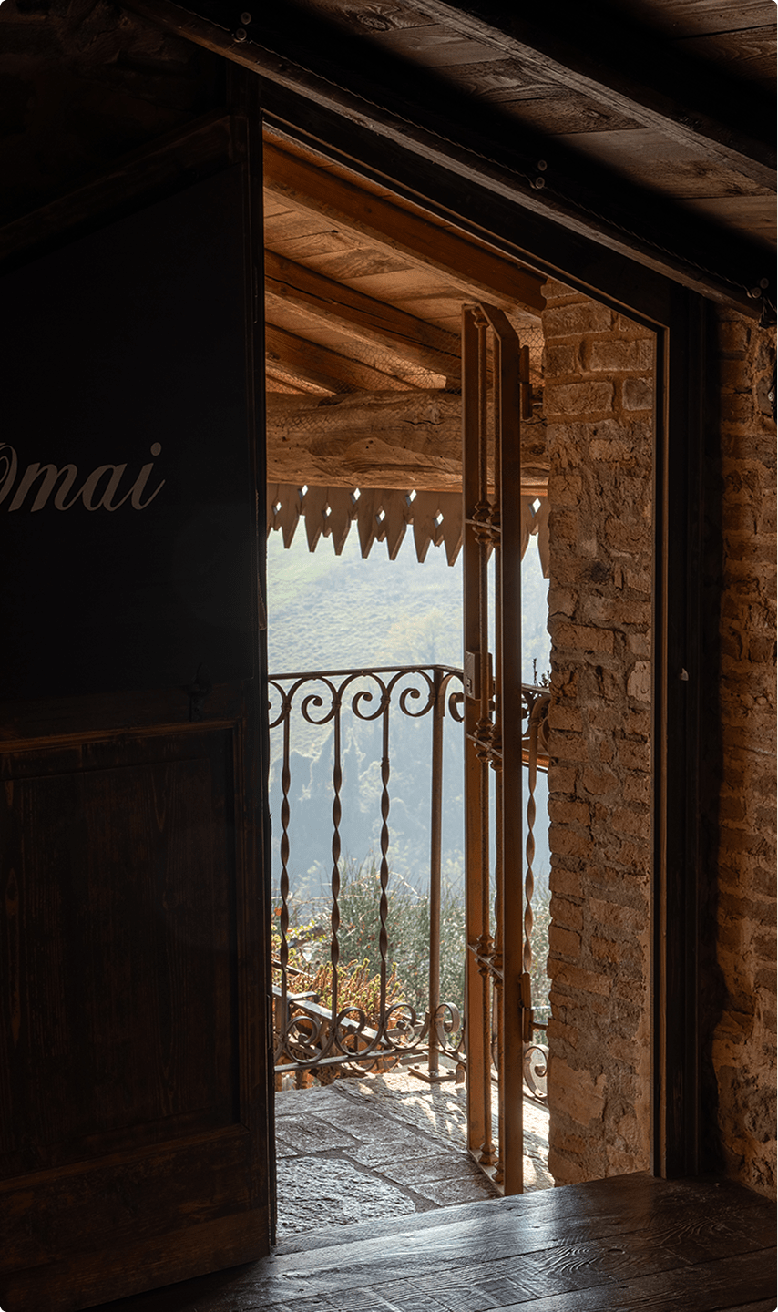 Azienda Agricola Borgo Santuletta foto 3