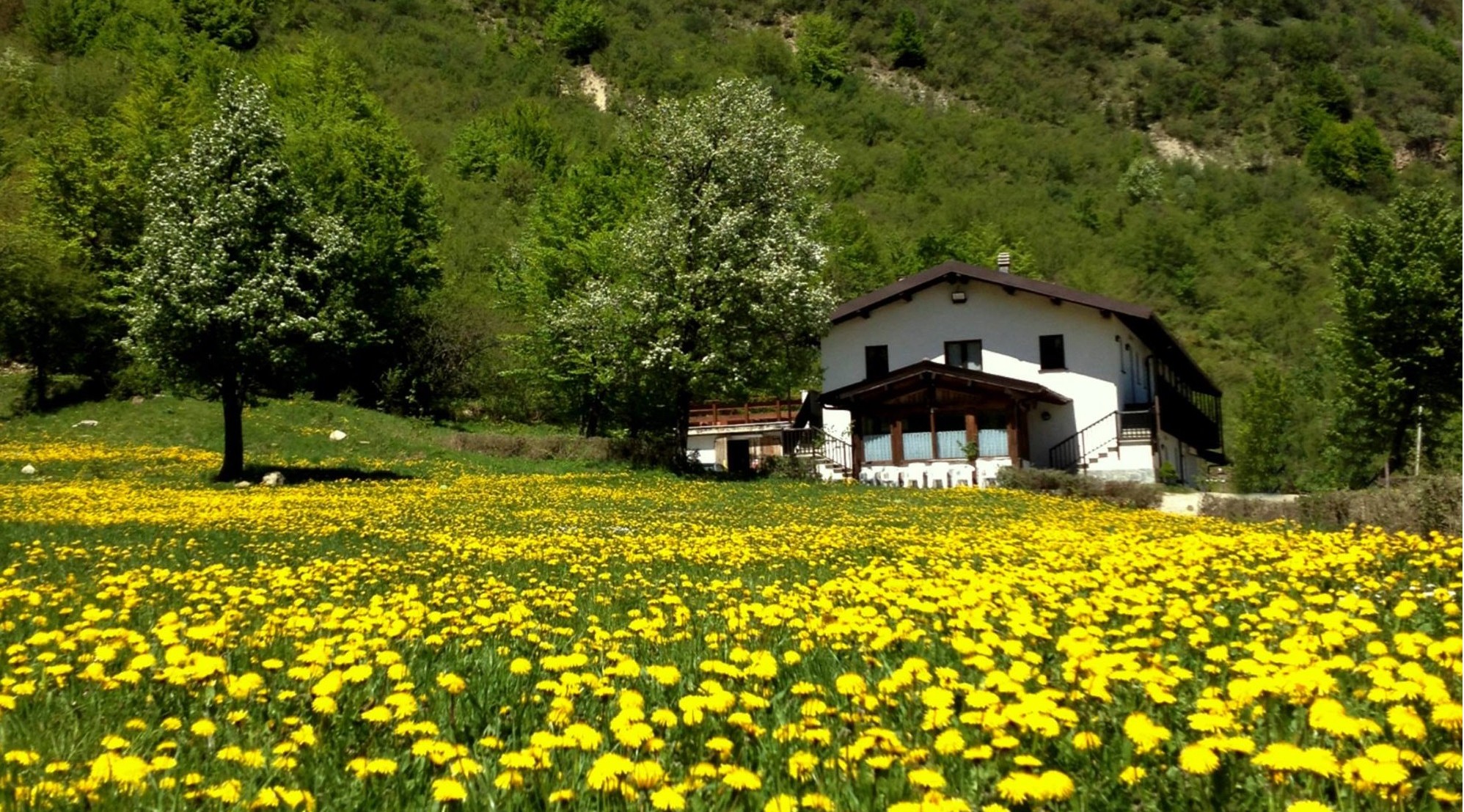 Agriturismo Sulla Via Del Sale - foto 3