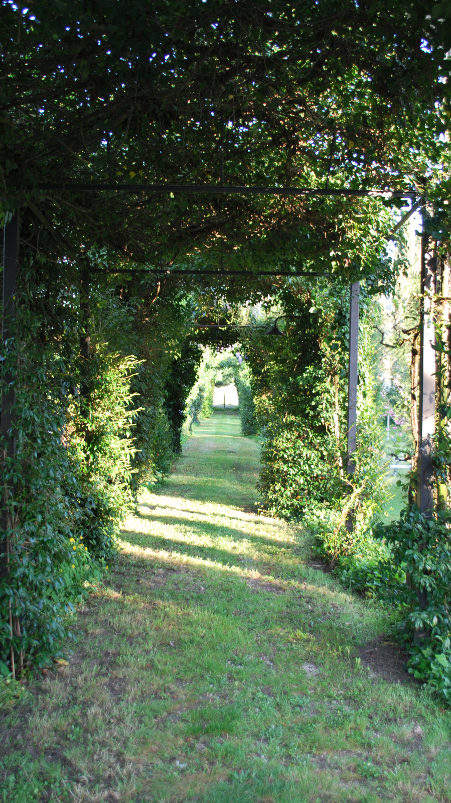 Villa Visocchi B&B foto 3