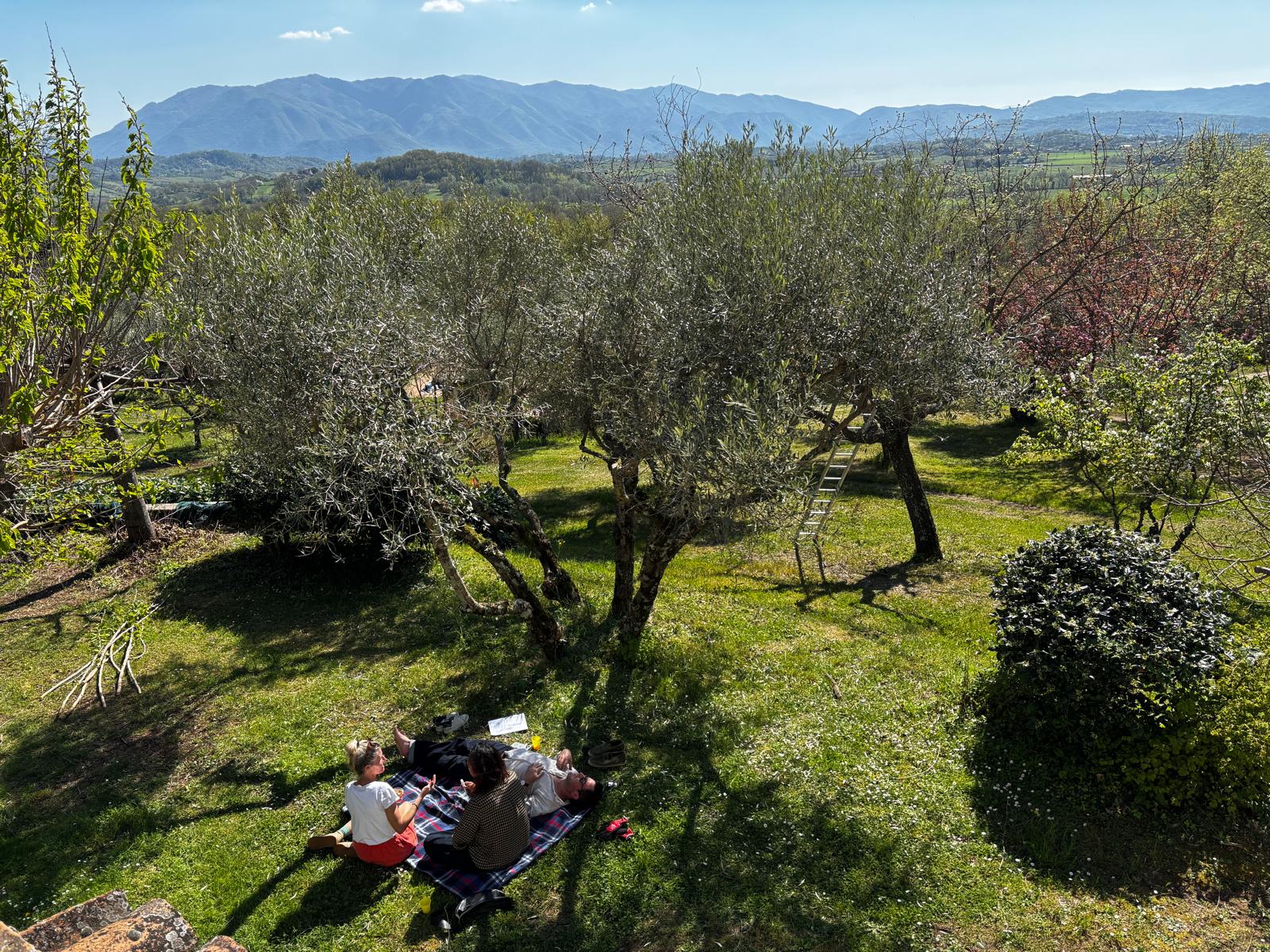 Resort Il Bruco - foto 5