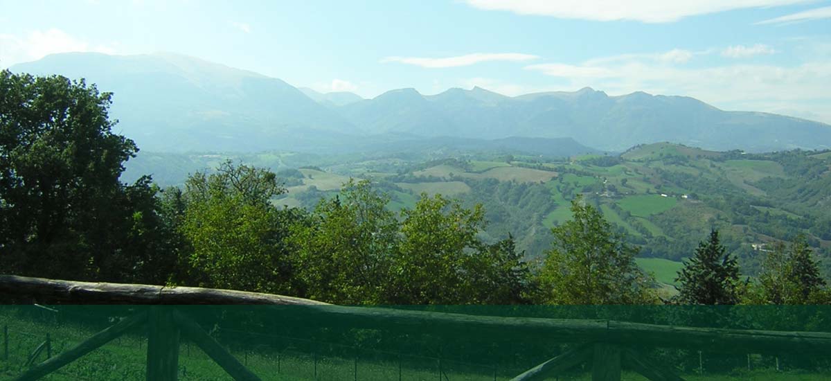 Country House La Querceta - foto 3