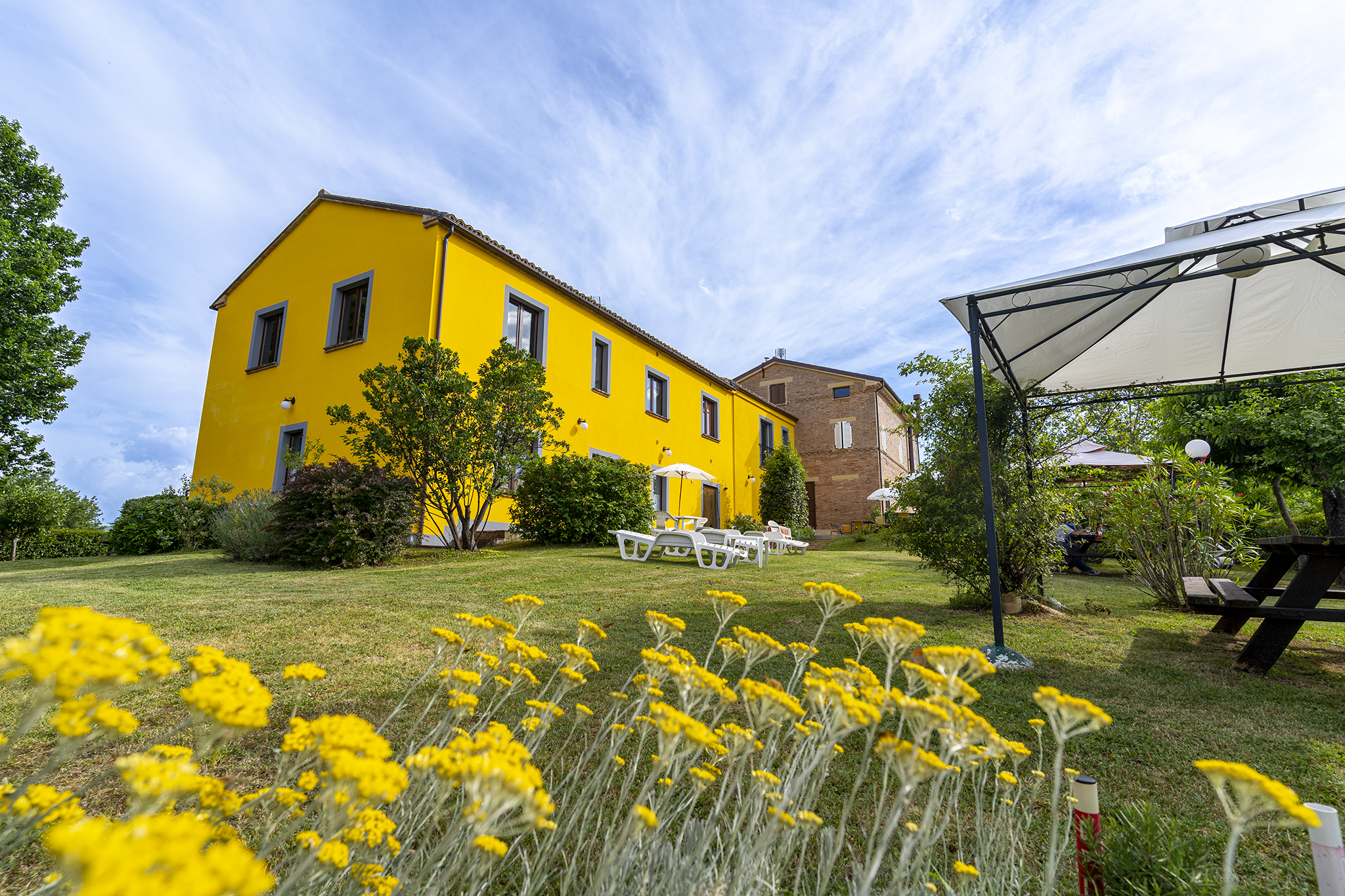 Agriturismo L'Olmo di Casigliano - foto 2
