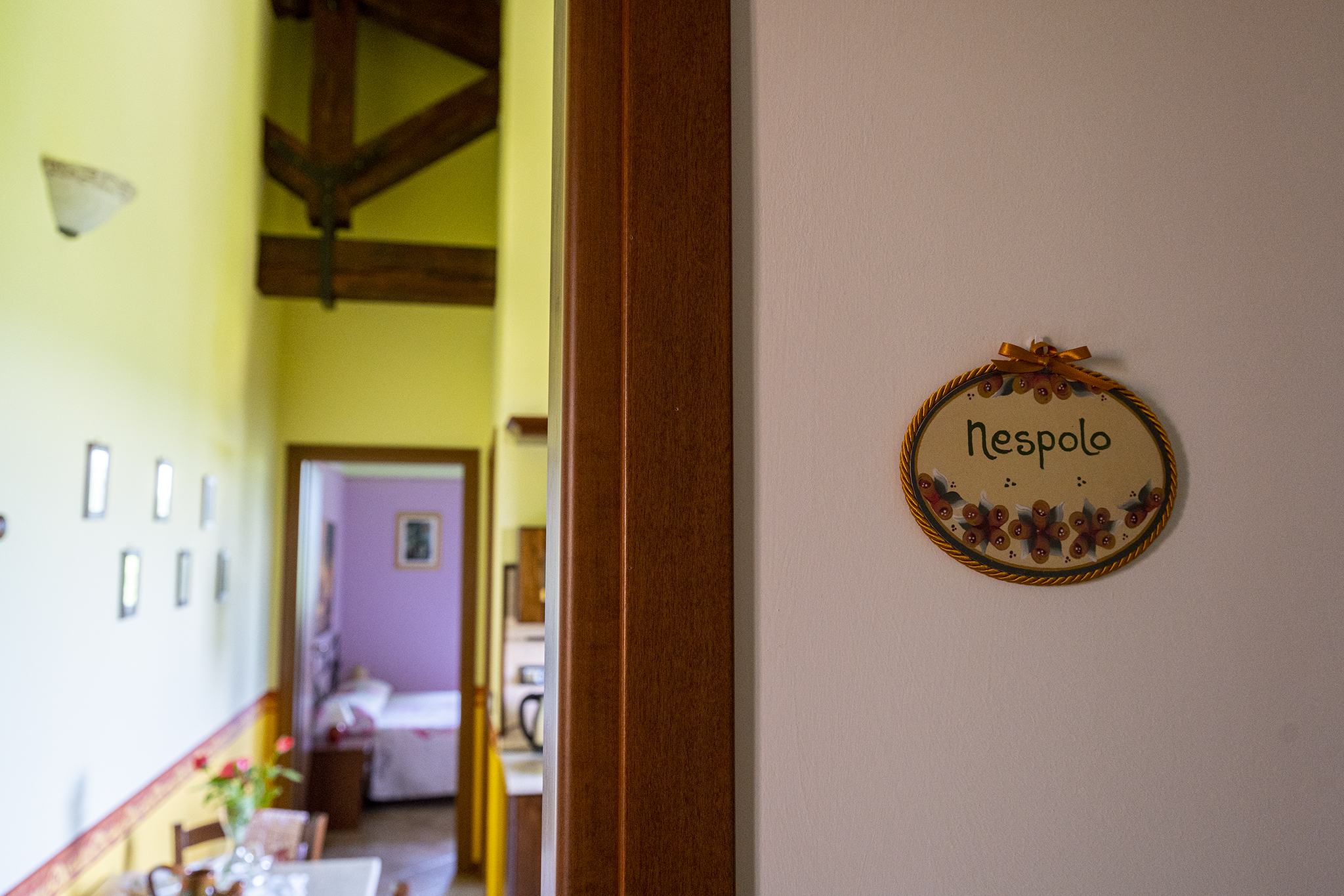 Agriturismo L'Olmo di Casigliano - foto 4