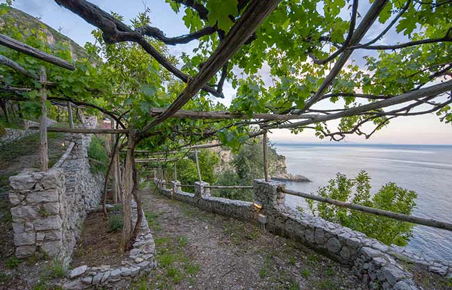 Cannaverde - Amalfi Coast Camp - foto 3