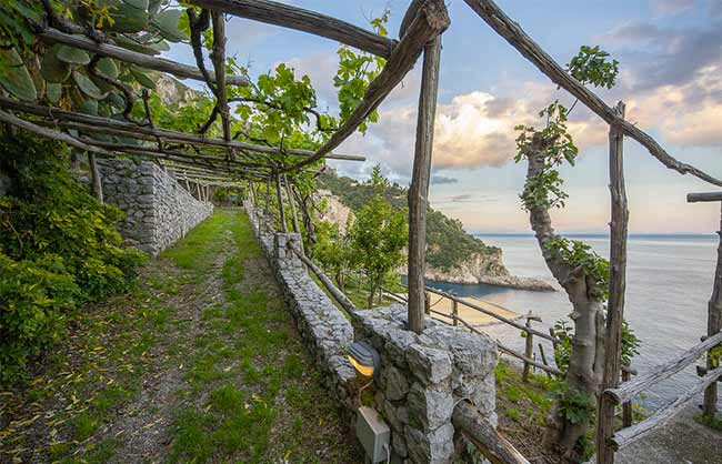 Cannaverde - Amalfi Coast Camp - foto 4