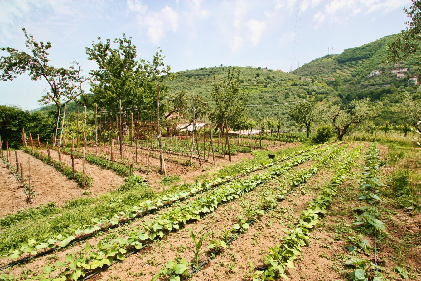 Agriturismo La Chiana - foto 1