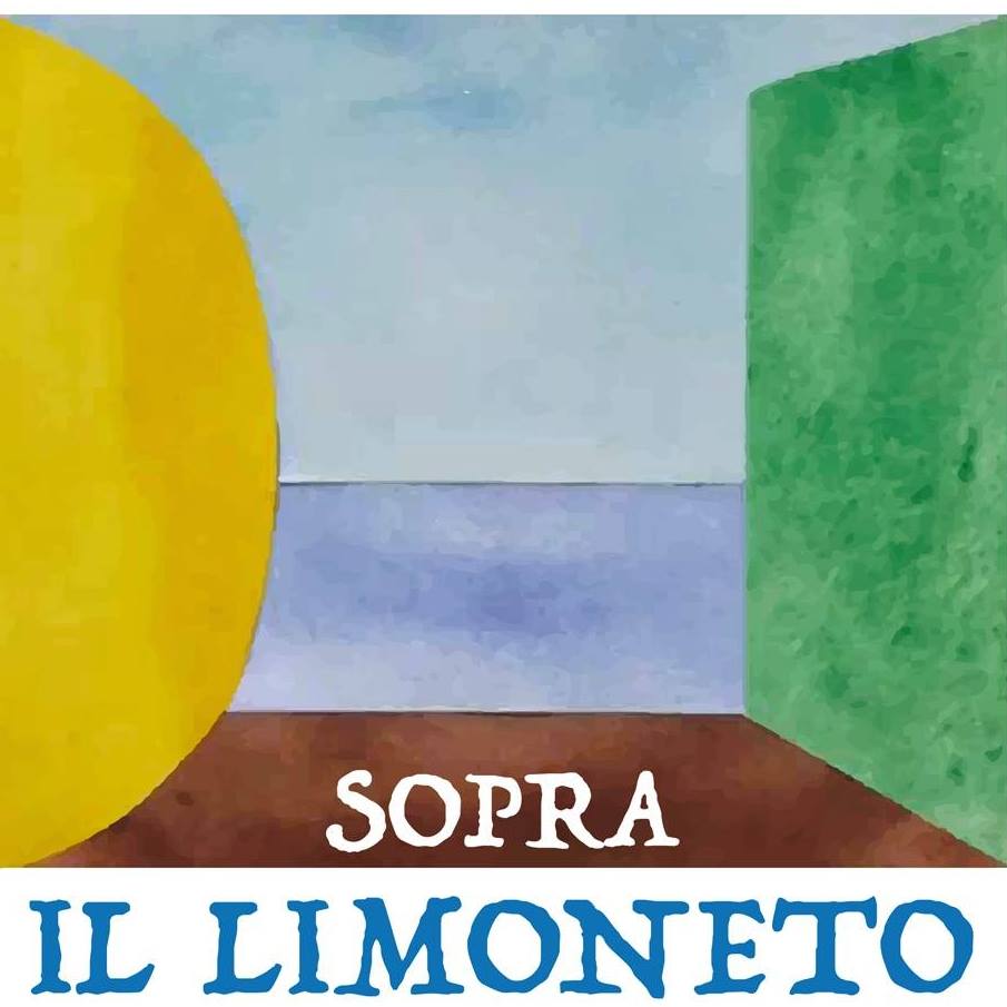 Sopra il Limoneto - foto 5