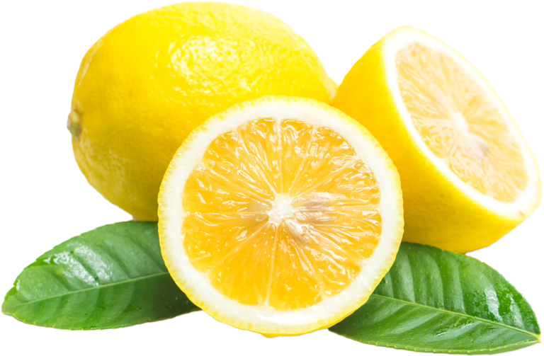 Sopra il Limoneto - foto 6