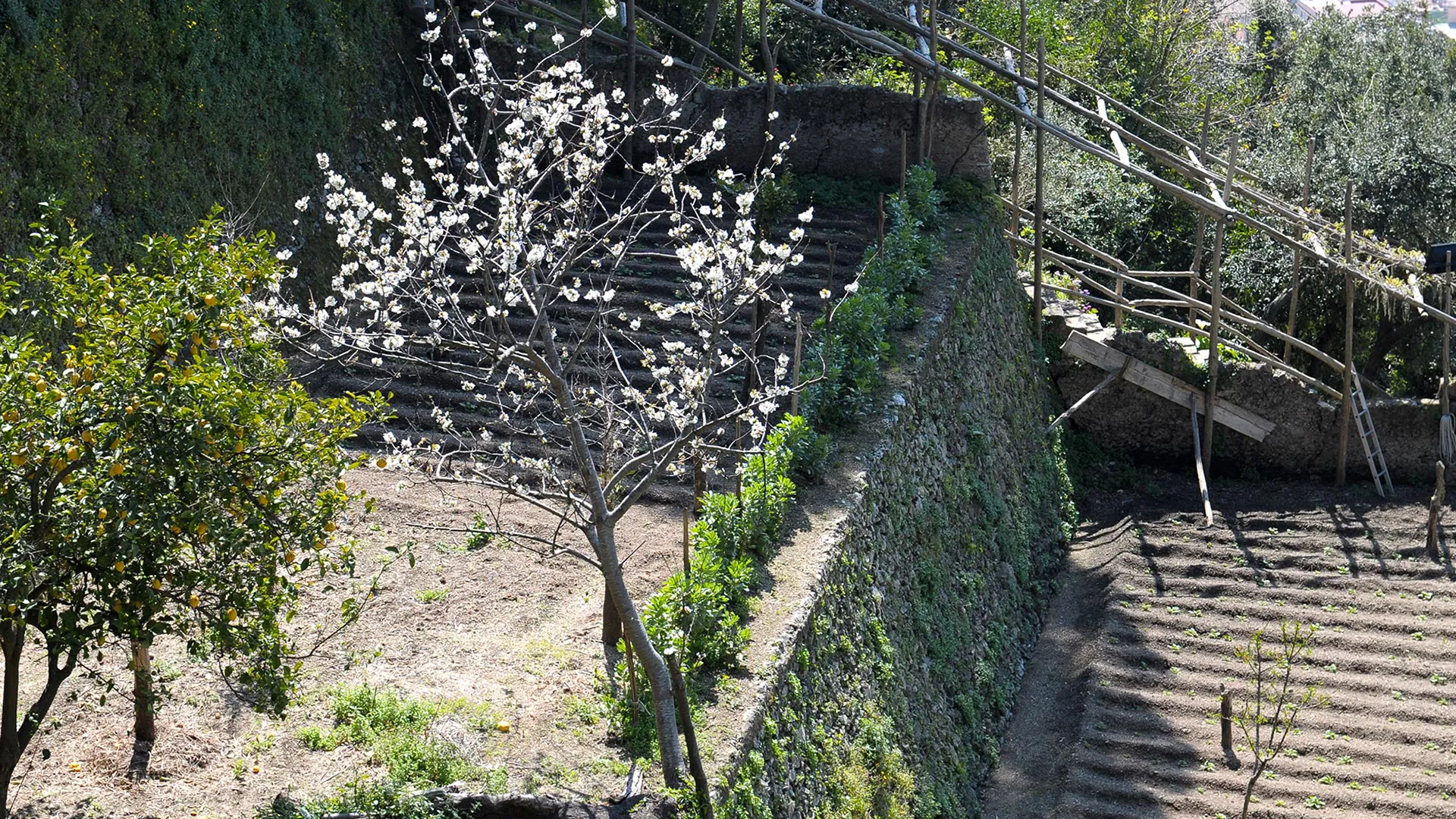Agriturismo Villa Maria - foto 1