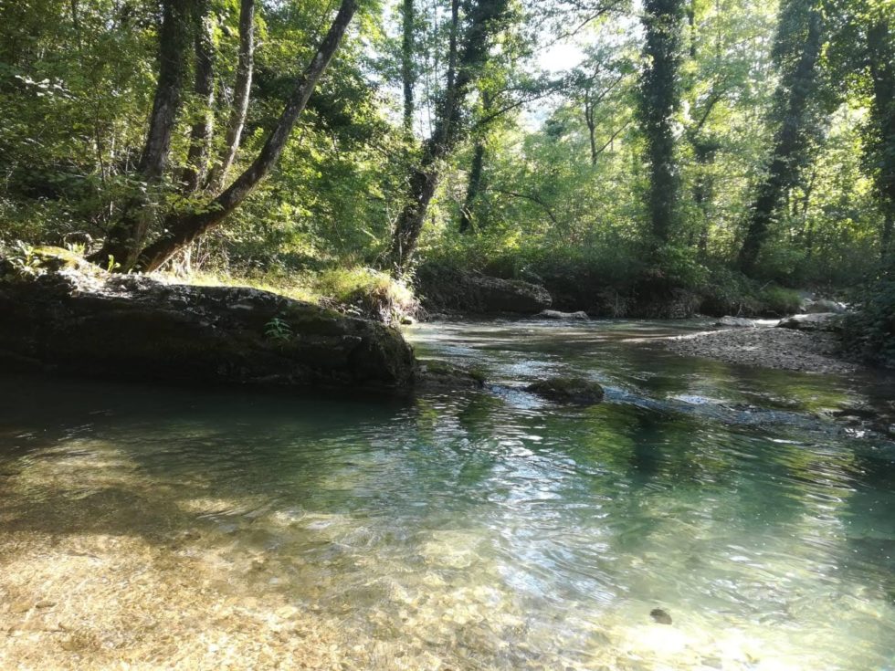 Ristorante agrituristico "Il Borghetto" alloggi e ristorazione foto 5