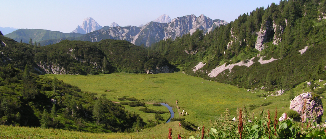 B&B Sot i Volz - foto 3
