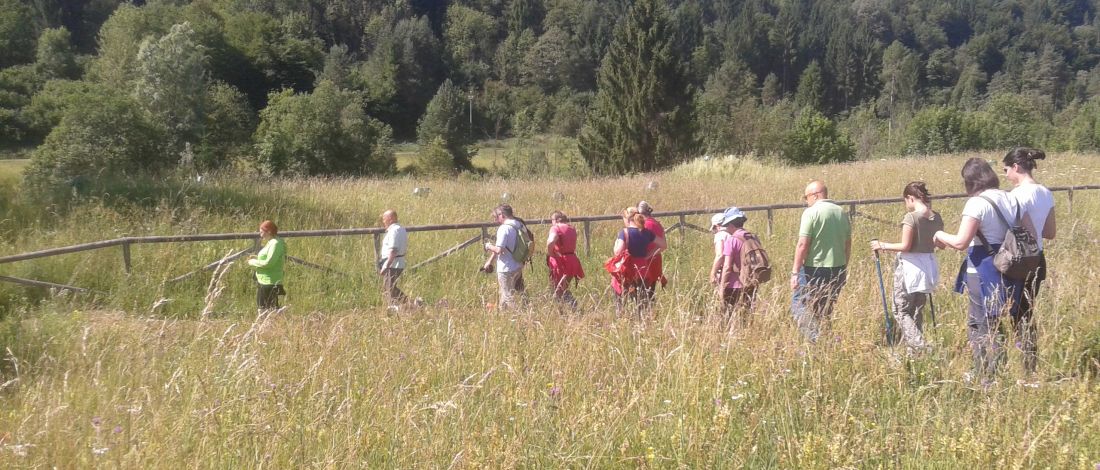 B&B Sot i Volz - foto 6