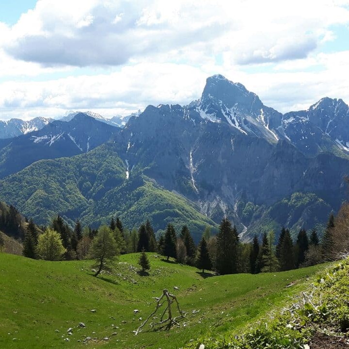Ristoro 25 Aprile - foto 4
