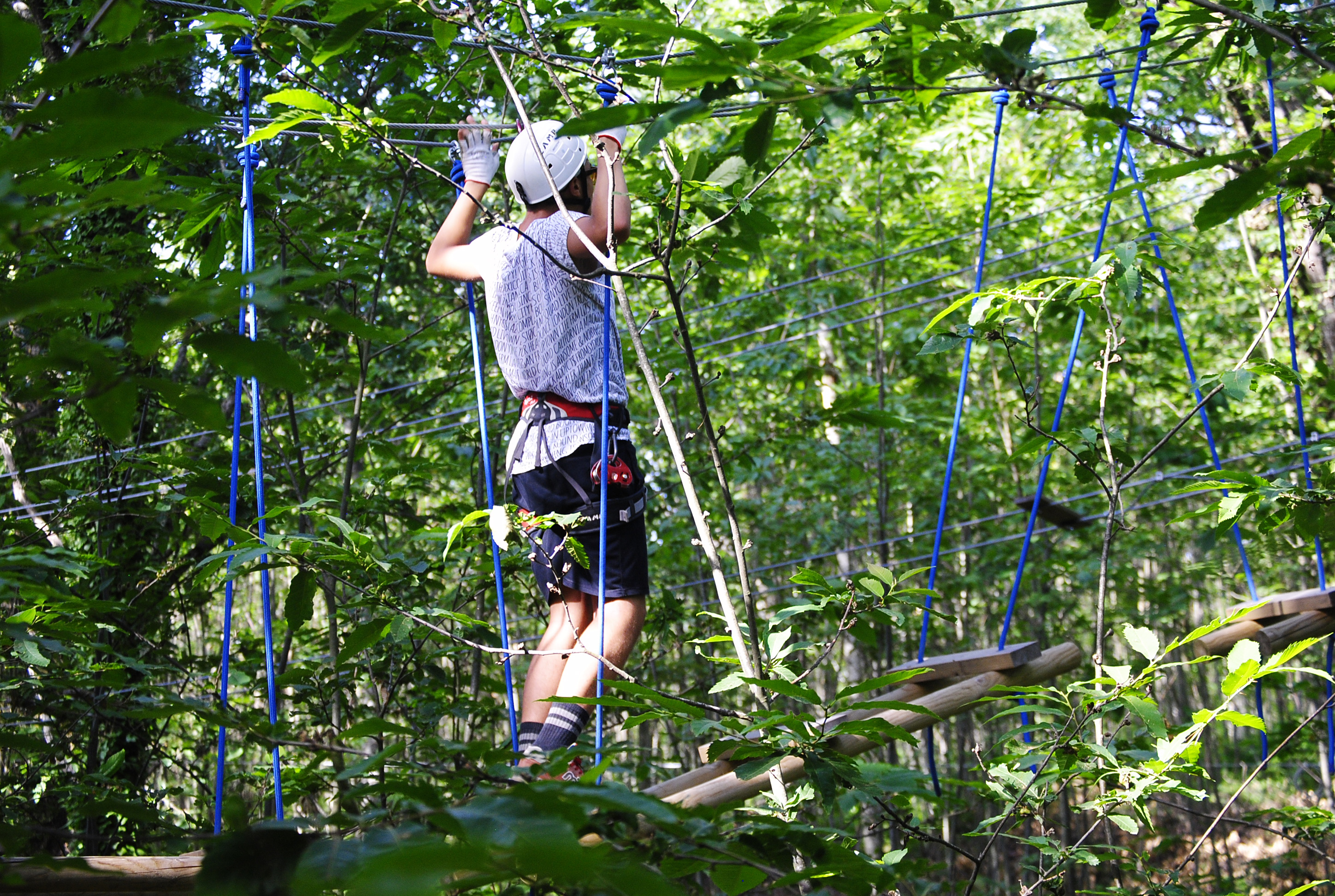 Parco Avventura Adrenalina Verde - foto 1