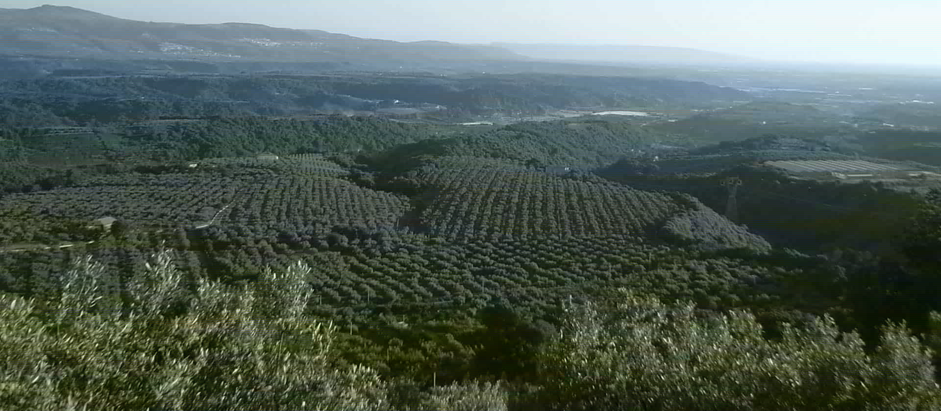 Le Carolee - Agriturismo e Azienda Agricola foto 4