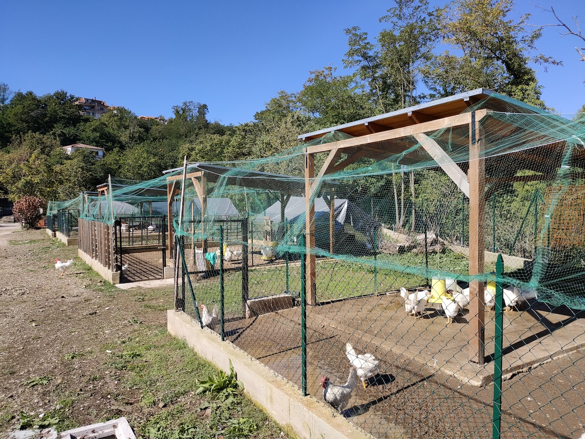 Fattoria Vetuscolana - foto 1