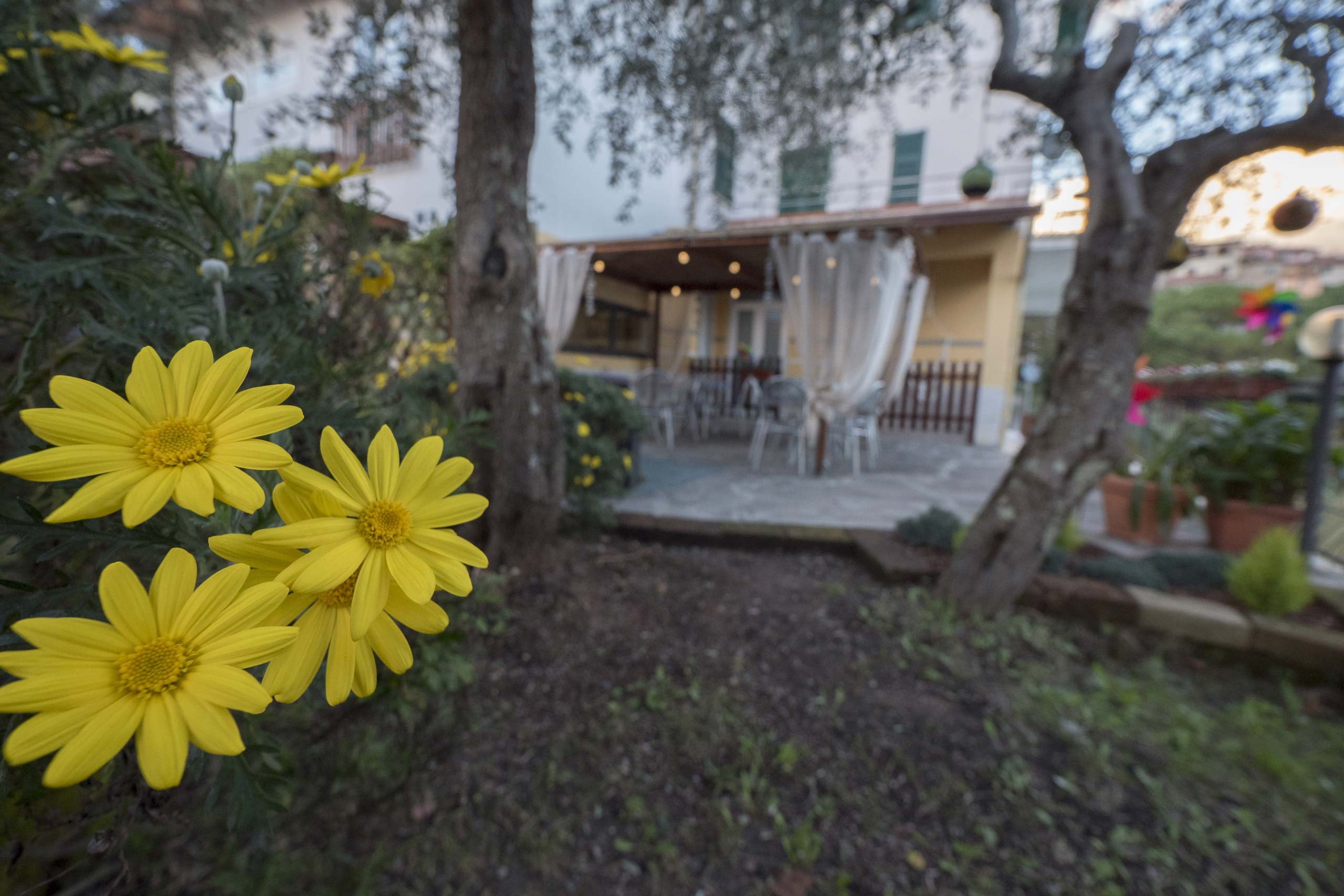 Albergo Serena - - foto 1