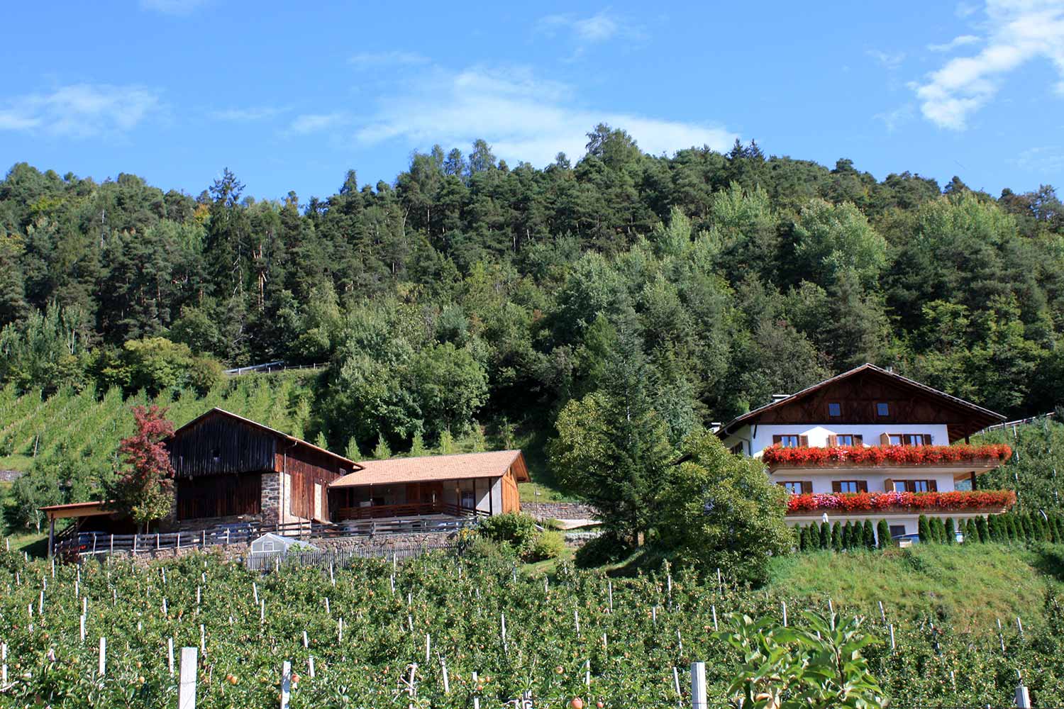 Ferienbauernhof Masunerhof - foto 2